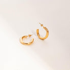 アリギエーリ ALIGHIERI ピアス ゴールド THE ETRUSCAN REMINDER EARRINGS FJ5256 BRZ 24 GOLD